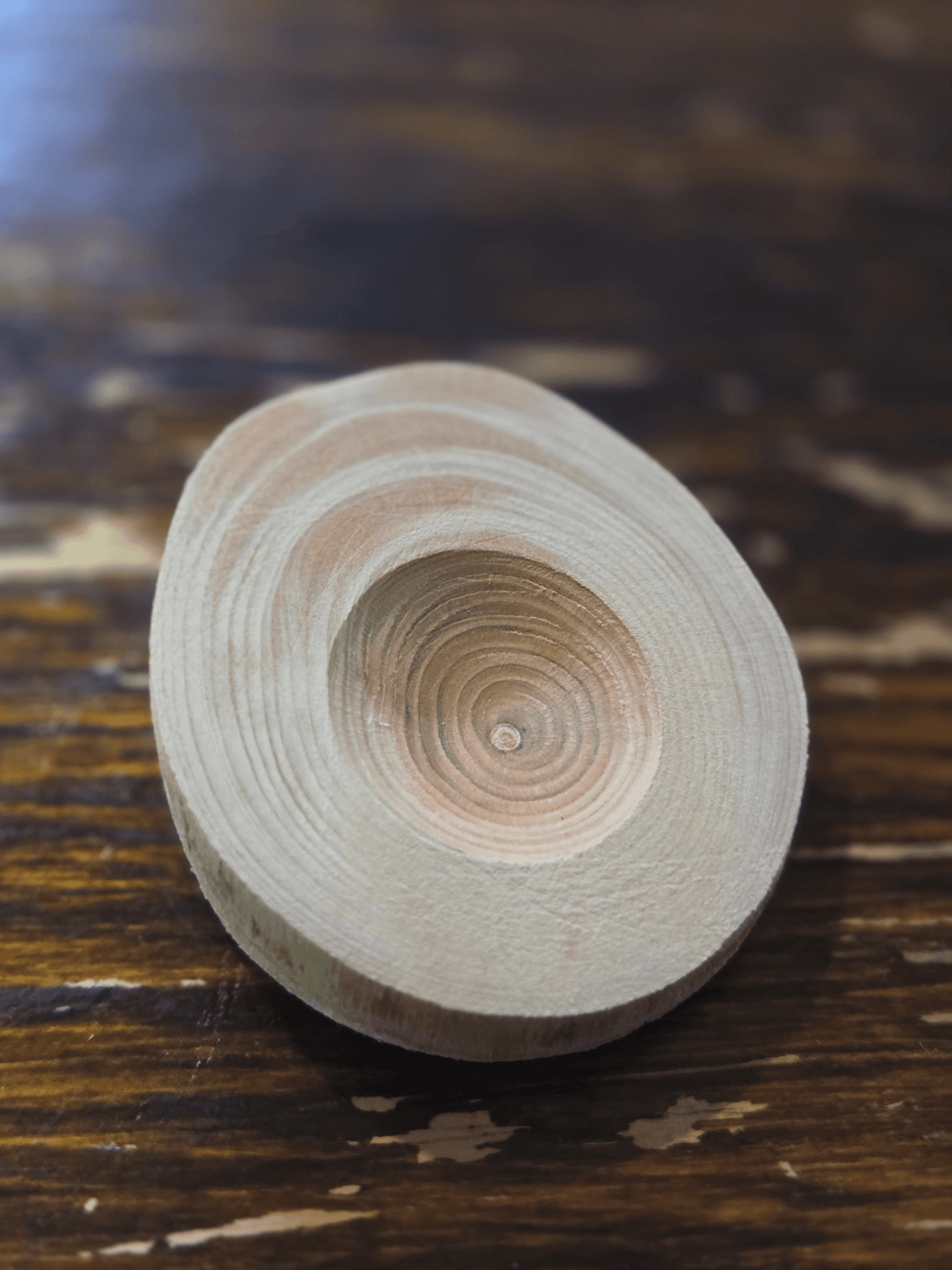 三重・美杉の杉(天然乾燥)オイルディヒューザー1枚目の画像